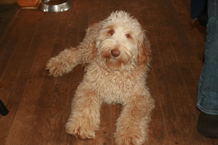 Ernie