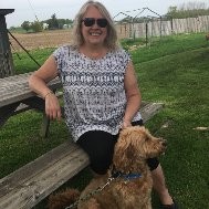 Goldendoodle Breeder in Canada